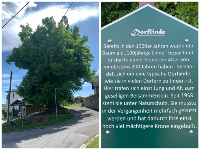 20250510 DorfliWitzsch 002 Fotor Collage