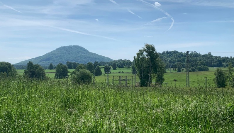 20250531Rosenberg Hutberg 001 Fotor