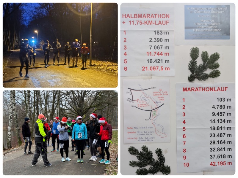 20251224 haml 000 oben Fotor Collage