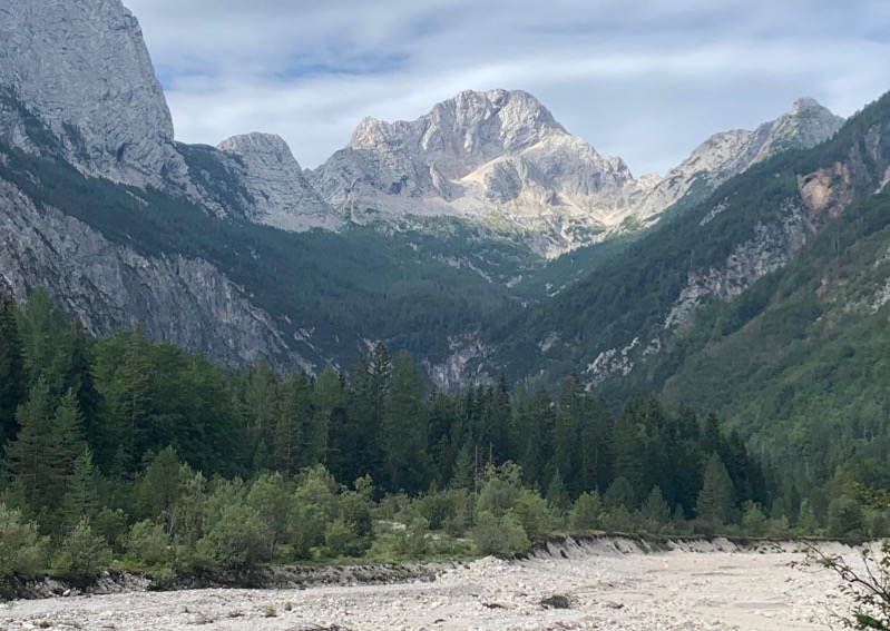 20260818 SPP BovGrintovec Fotor