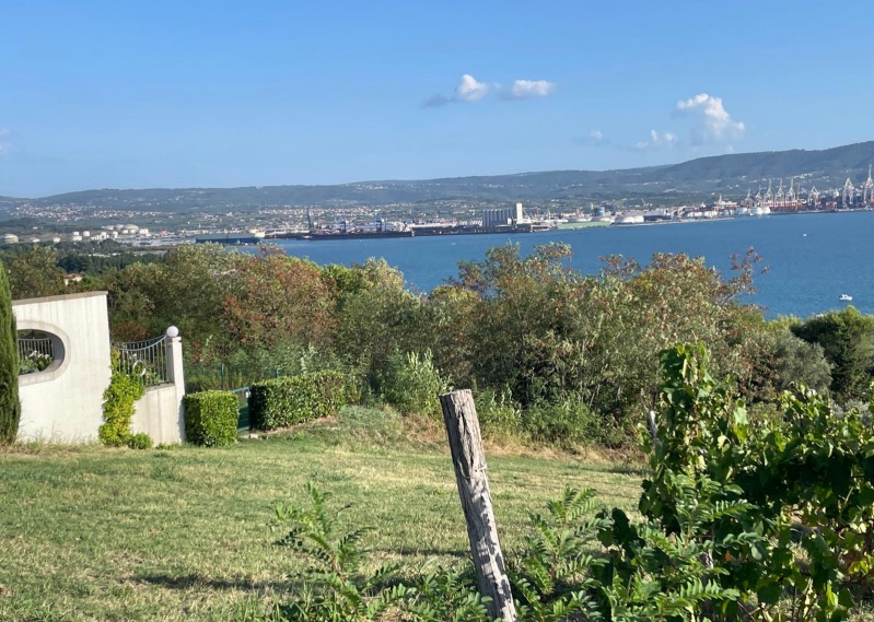 20260830 SPP Ank Bl n Koper Fotor