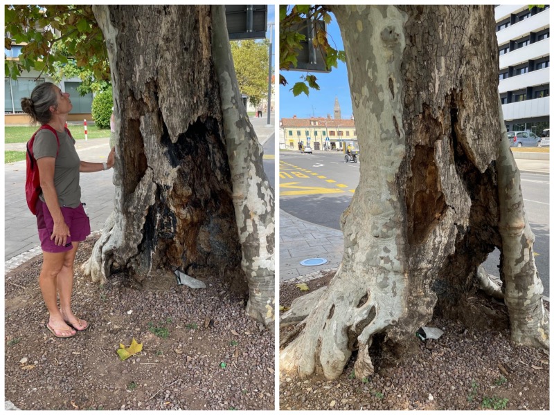 20260901 SPP Koper 0073 Collage