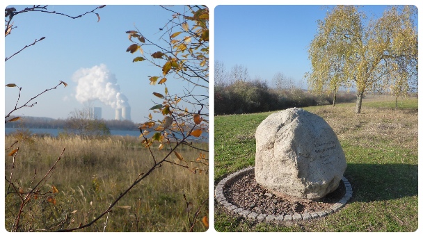 Collage FotorBORNA18uuu