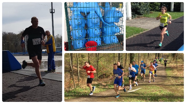 Collage FotorKWL2018aaa