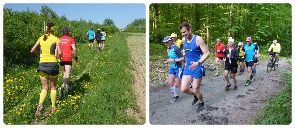 Collage FotorRUC2018xcxc