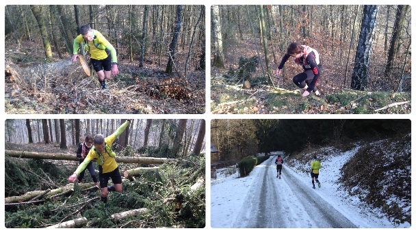 Collage FotorRUE2018A