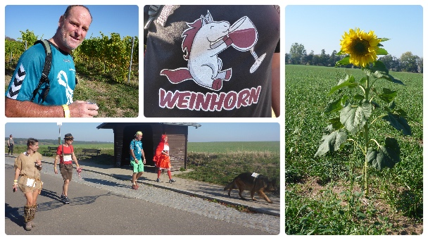 Collage FotorWEIN2018nnn