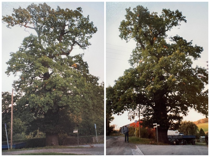a ger weiss cd 003 Fotor Collage