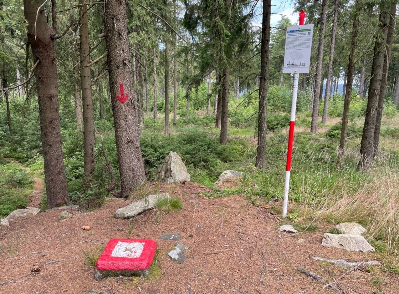 aa peindl 008 Fotor