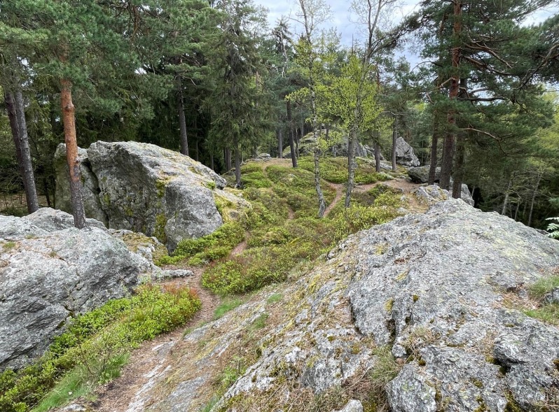 goethestein cz 006 Fotor