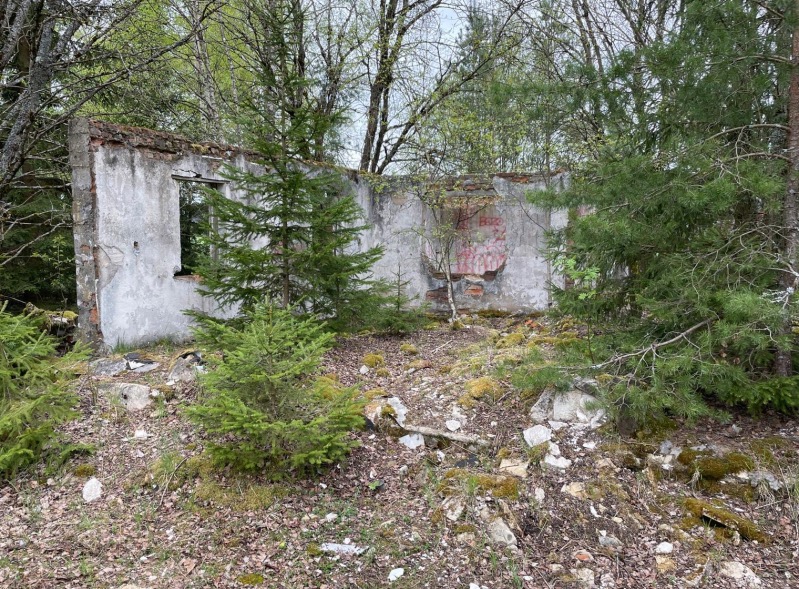 goethestein cz 010 Fotor