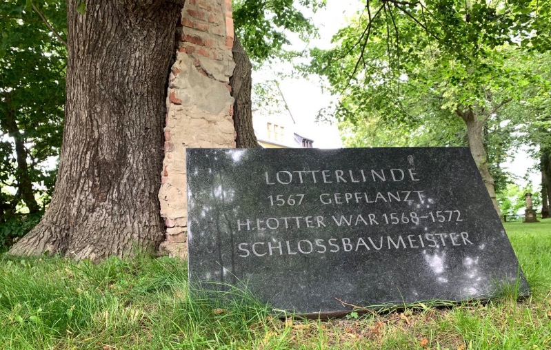 lotter lind 2024 0002 Fotor