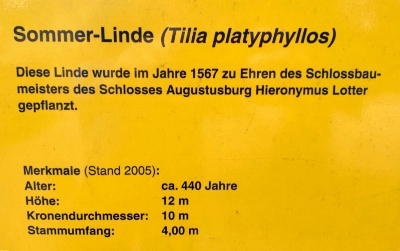 lotter linde 2024 001 Fotor