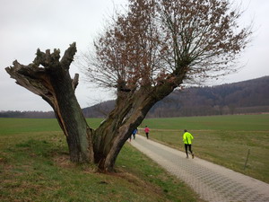 Kopie_von_IMG_20150322_105459