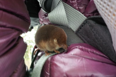 Kopie_von_IMG_20150405_171423