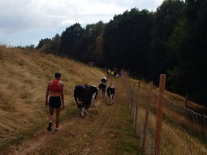 Kopie_von_IMG_20150815_151057